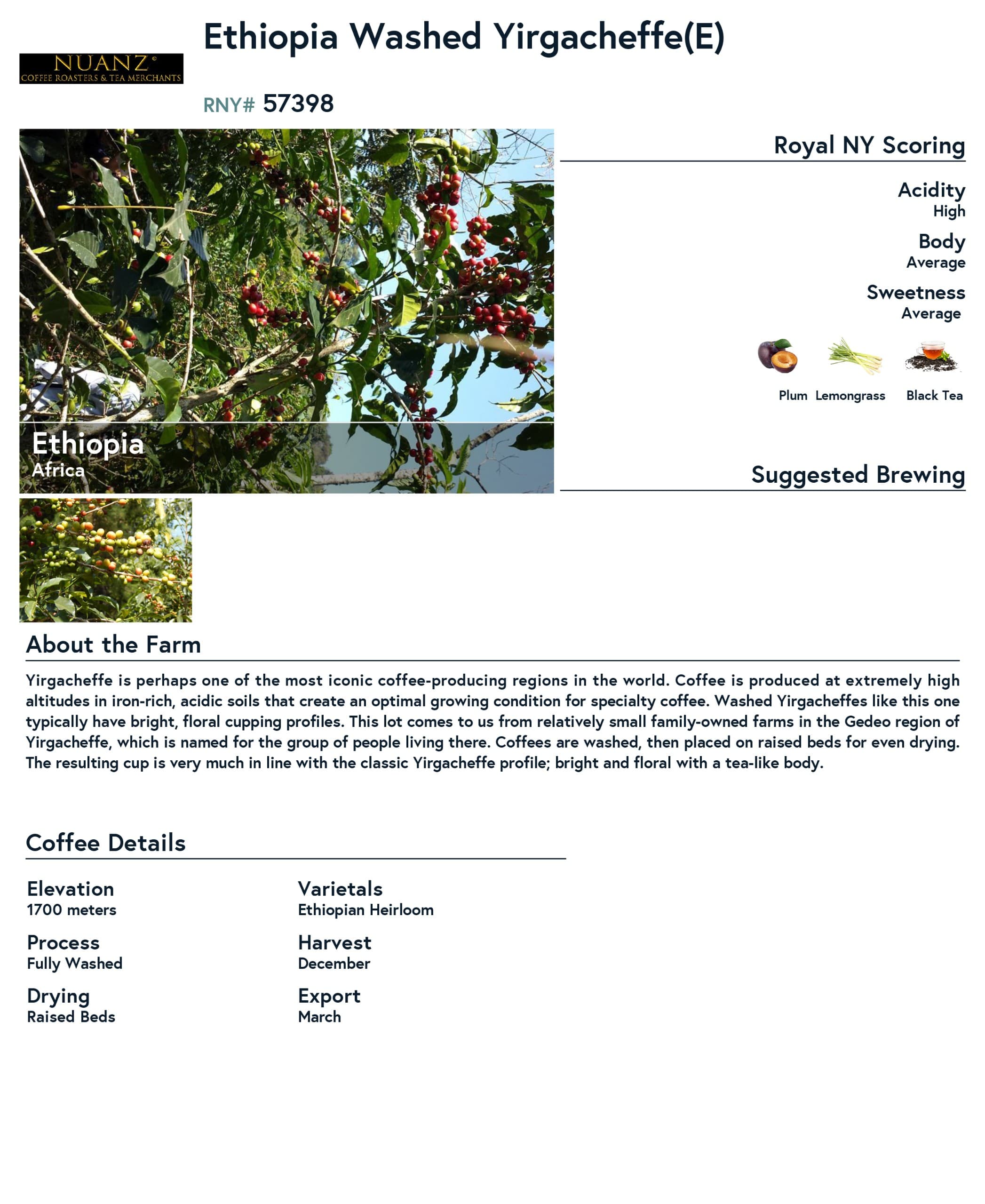 Ethiopian Yirgacheffe product information