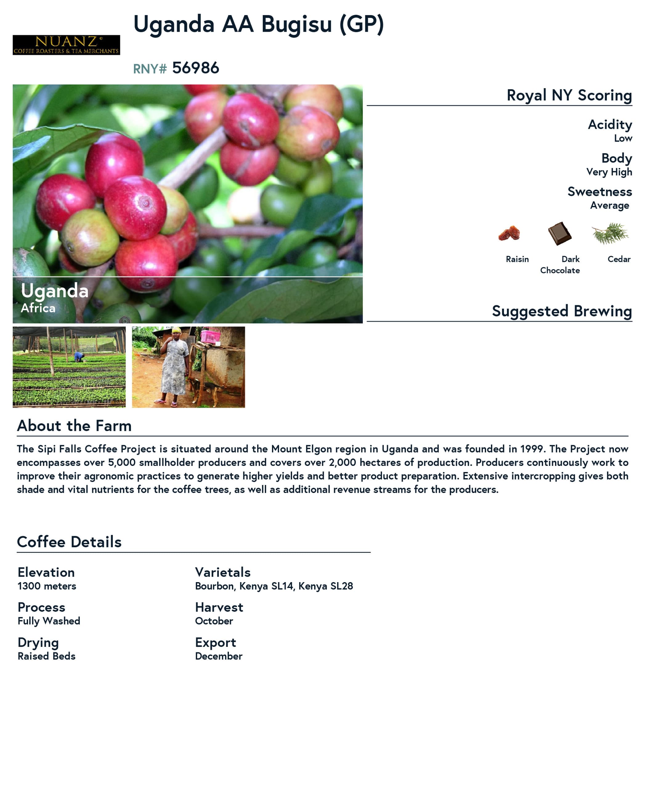 Uganda Bugisu product information