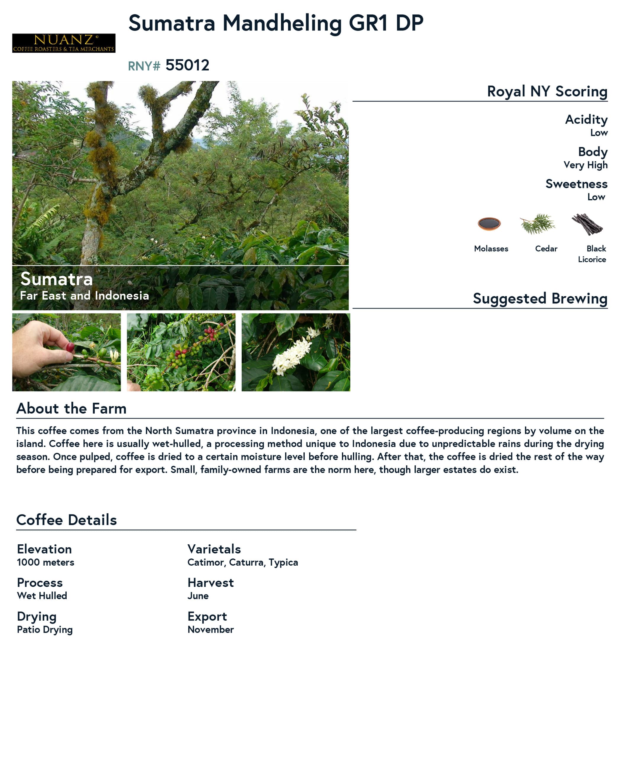 Sumatra Kopi product information