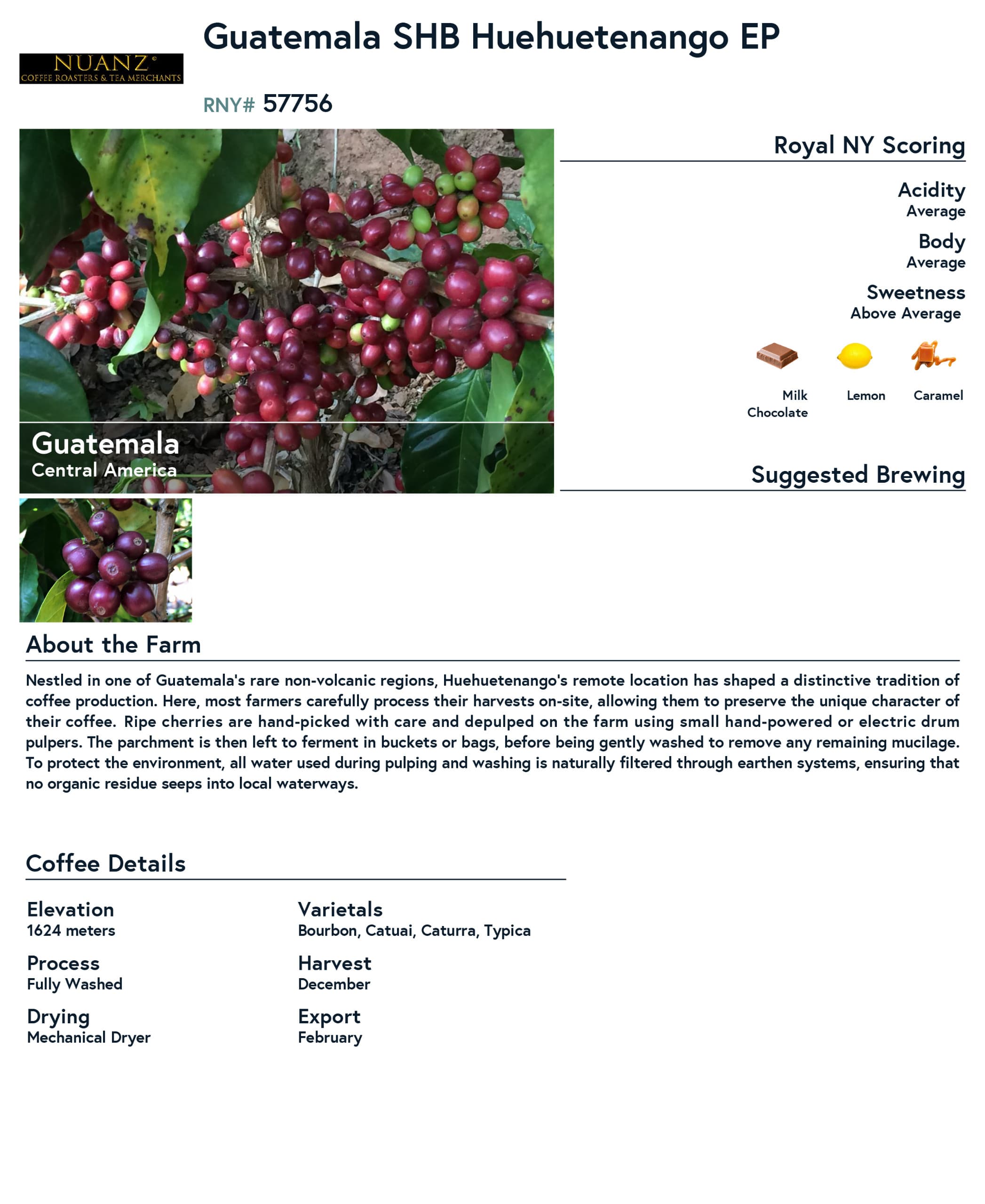 Guatemala Huehuetenango product information