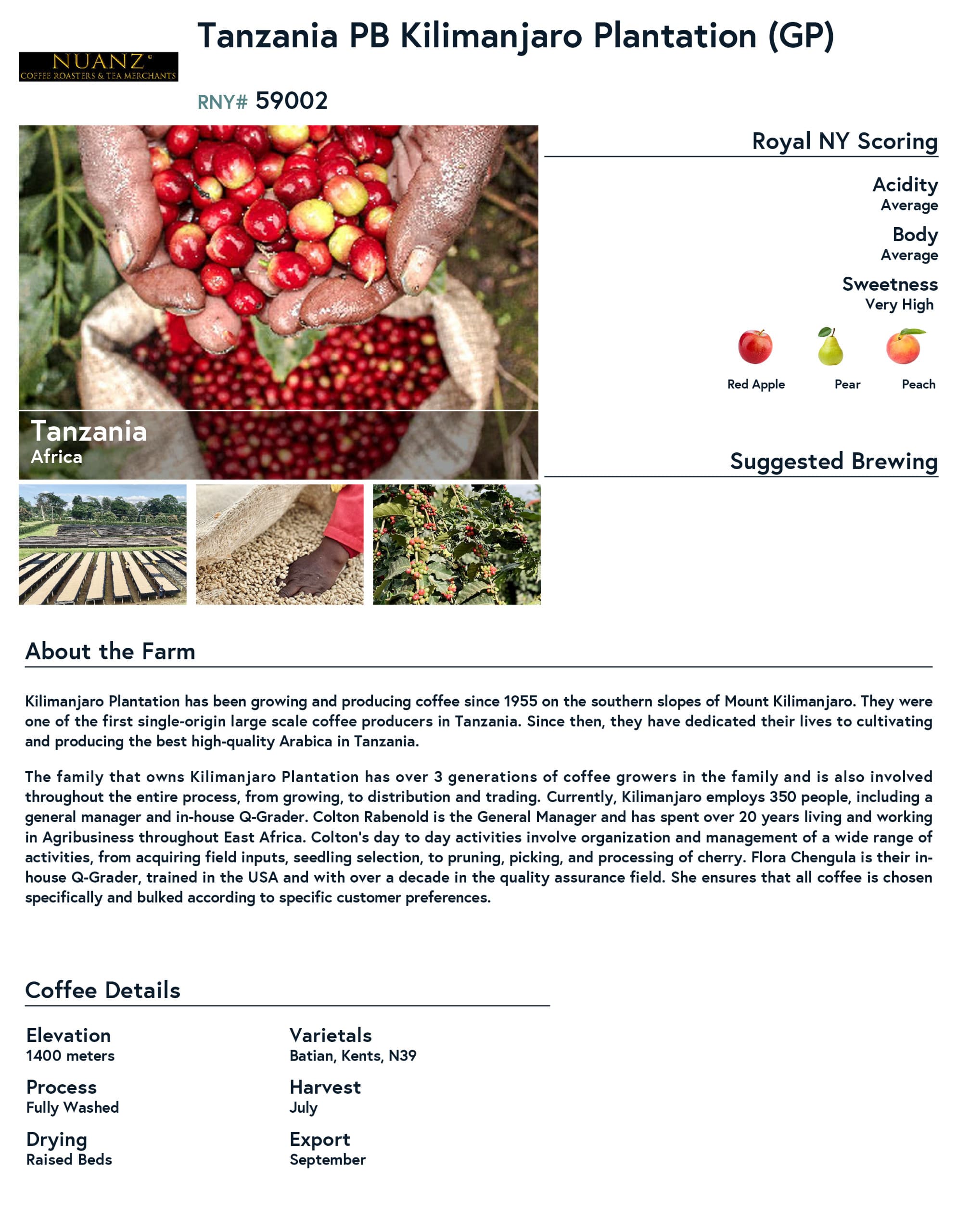 Tanzanian Peaberry product information